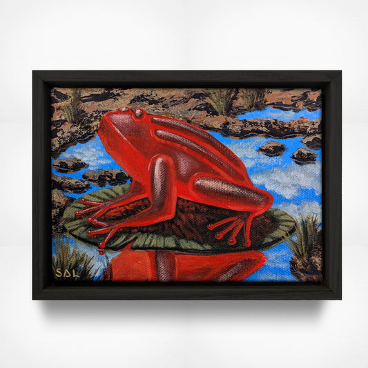 Mini ‘Red Frog’