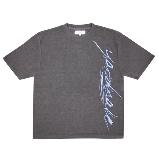 HIGHLIGHTS T-SHIRT - GREY